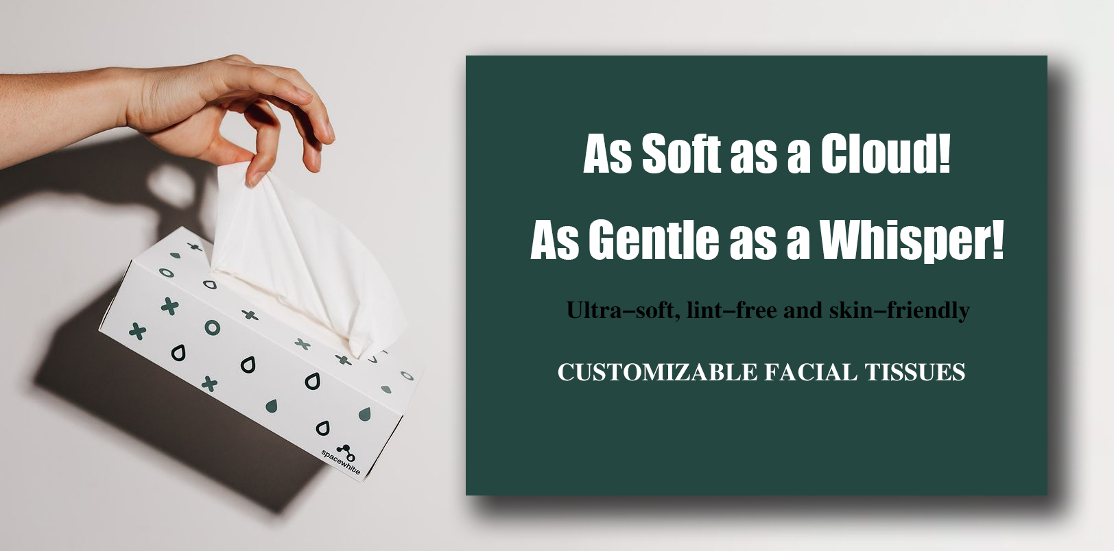 Facial Tissue